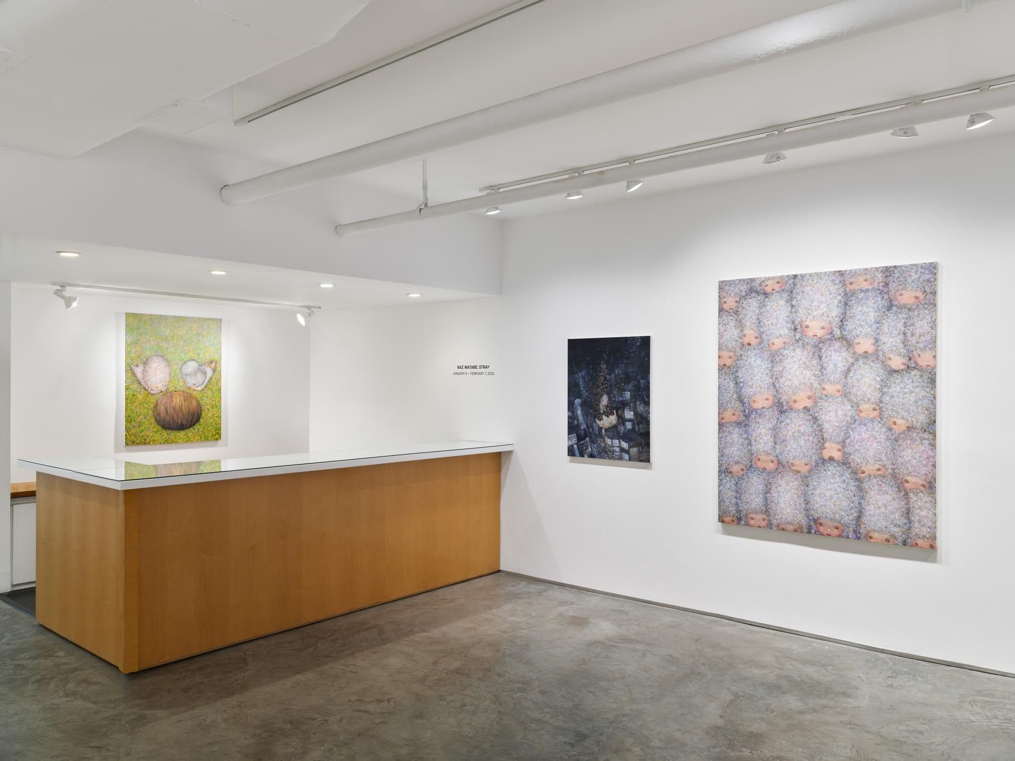Kaz Watabe — Stray — image 5 of 5