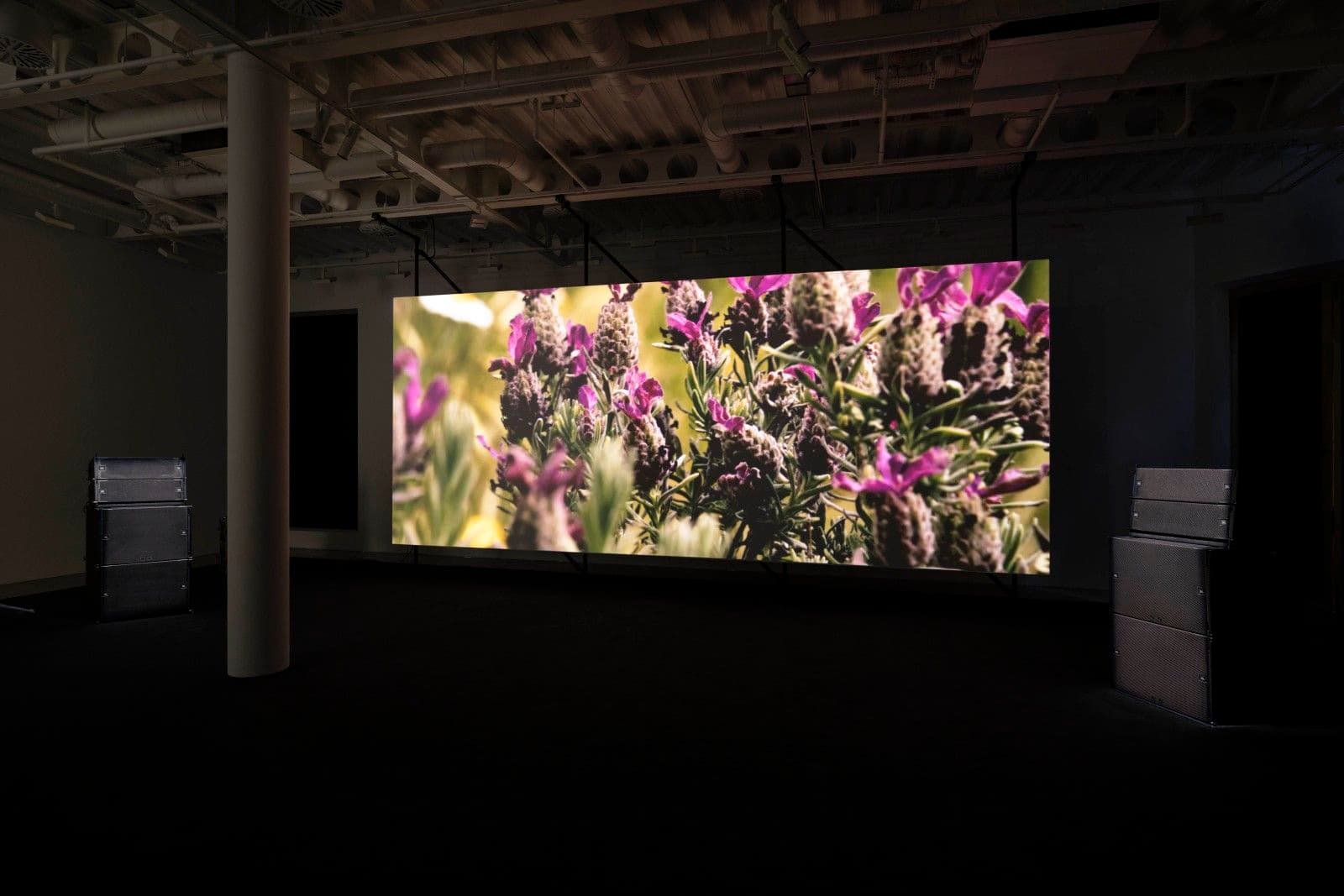 Philippe Parreno — El Almendral — image 4 of 4