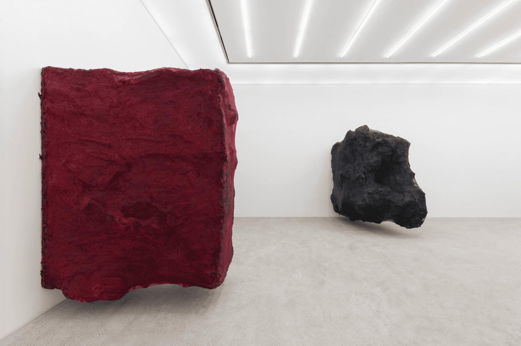 Anish Kapoor — Anish Kapoor — image 6 of 8