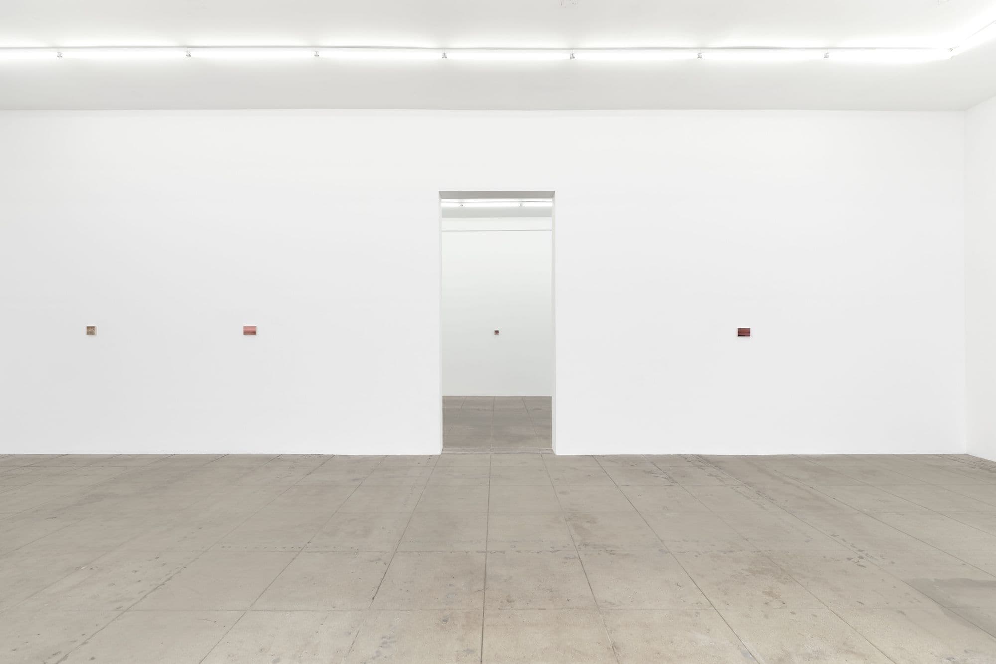 Katelyn Eichwald — Good While It Lasted — image 7 of 8