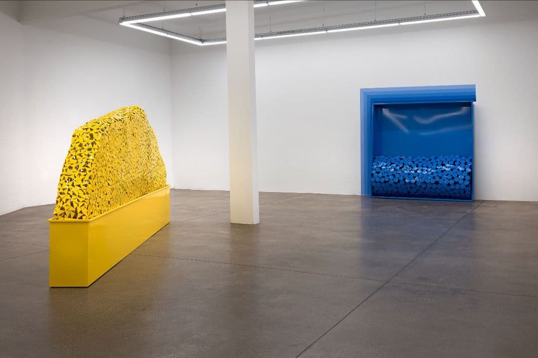 Rachel Lachowicz — The Gravity of Color — image 1 of 2