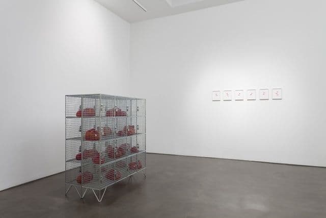 Mona Hatoum — Twelve Windows — image 4 of 7