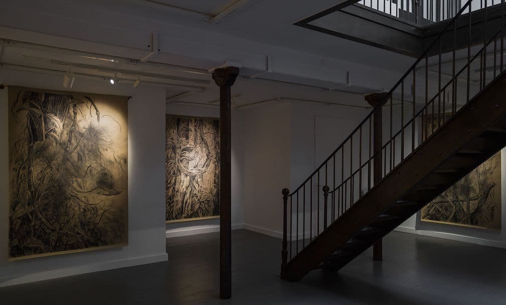 Nohemí Perez — El Jardín de Amado — image 4 of 8