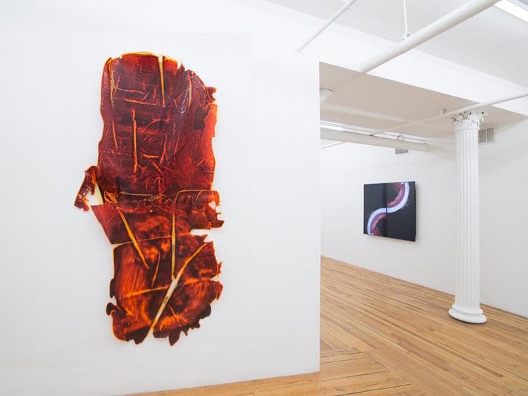 David J. Merritt — Flesh of My Flesh — image 1 of 4