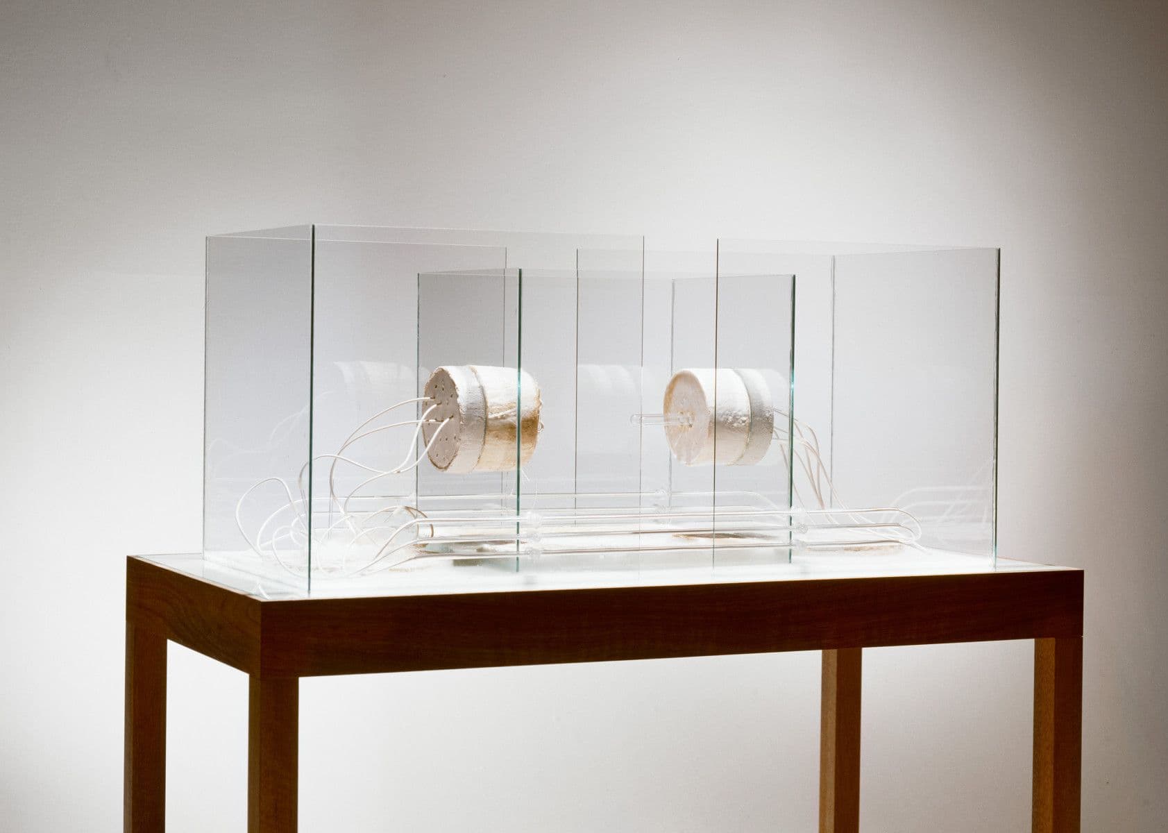 Gina Lee Felber & Jürgen Klauke — Skulpturen/Fotografien