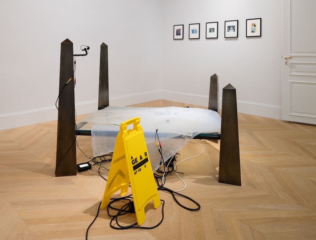 Julia Scher — The Mammoth Book of Eyewitnesses — image 1 of 4