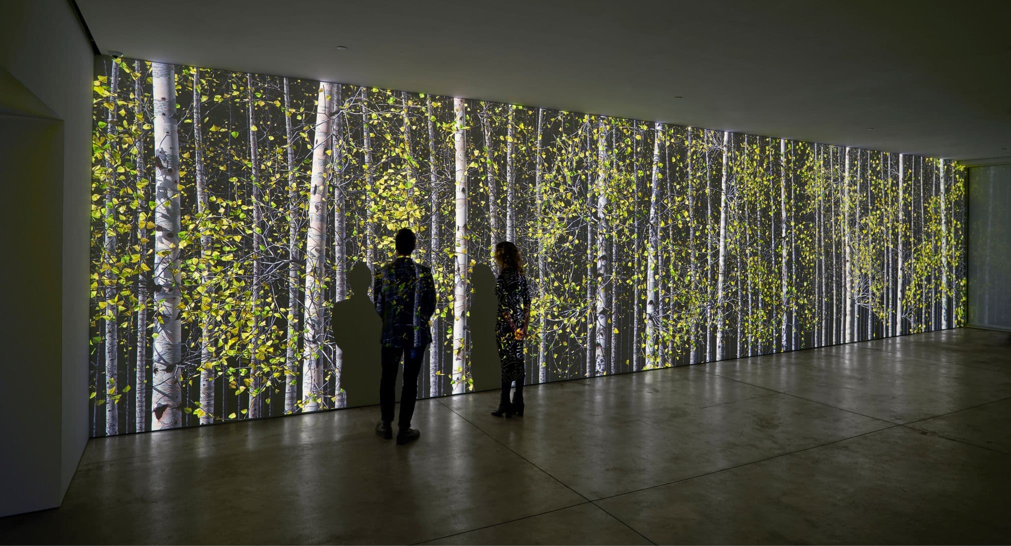 Group Exhibition — 2022-23 Exhibitions — image 4 of 4