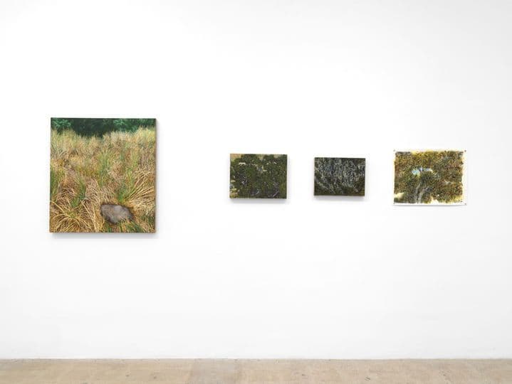 Group Exhibition — Tell Me If You Want to Go — image 3 of 5
