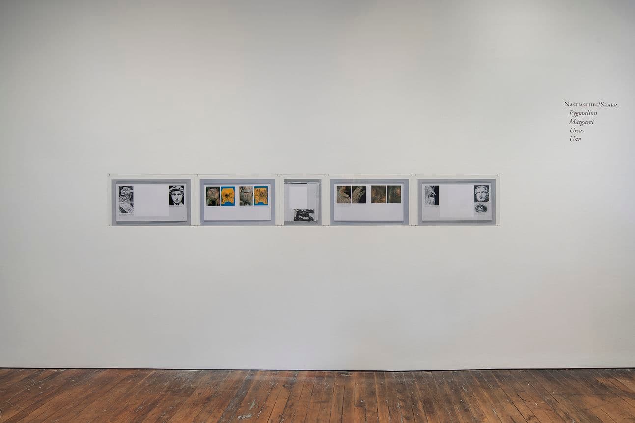 Rosalind Nashashibi & Lucy Skaer — Pygmalion Margaret Ursus Uan — image 8 of 10