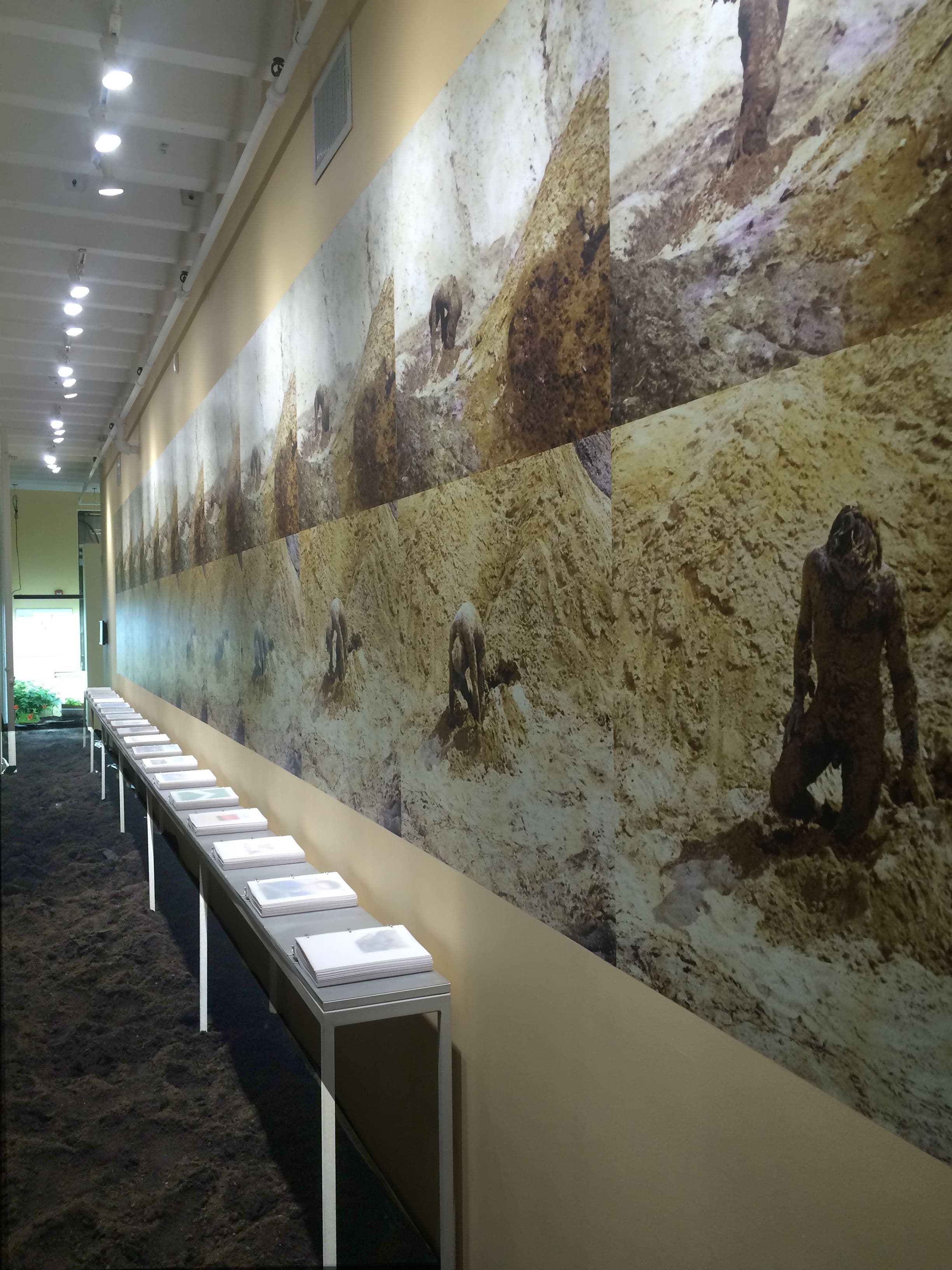 Group Exhibition — Social Ecologies — image 2 of 2