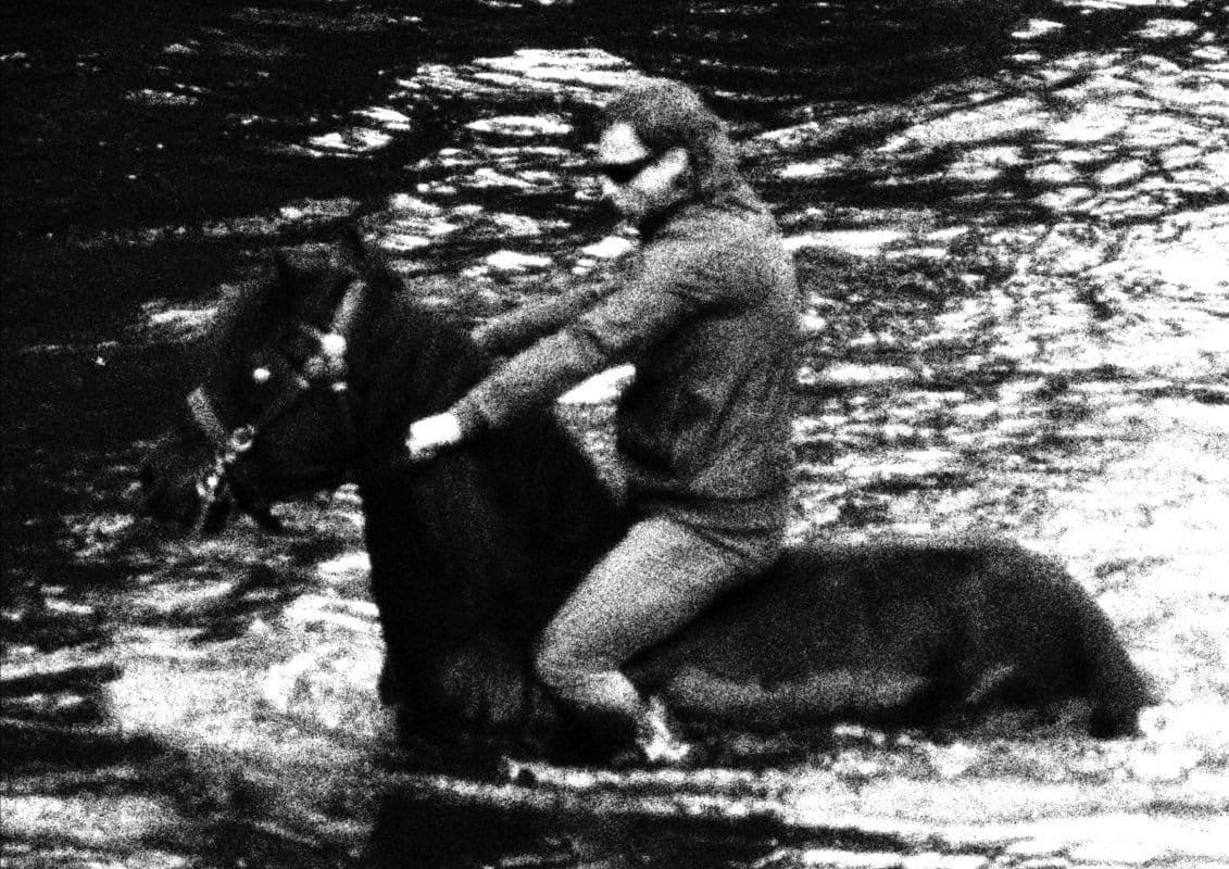 Kingsley Ifill — Blue Roan — image 2 of 2