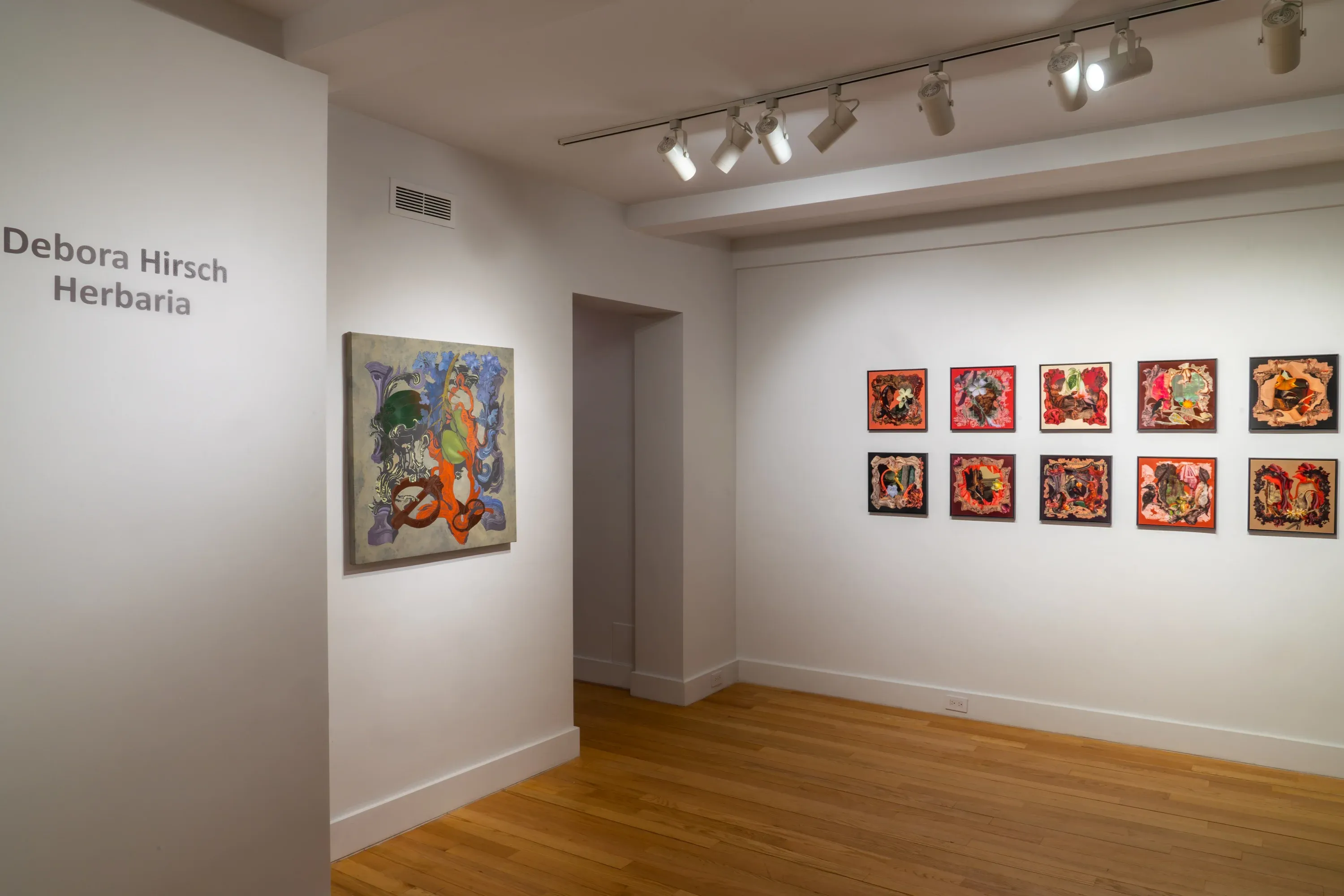 Debora Hirsch — Herbaria — image 1 of 8