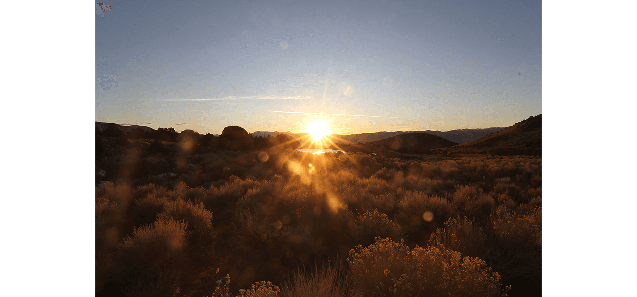 Oscar Tuazon — Los Angeles Water School (LAWS)