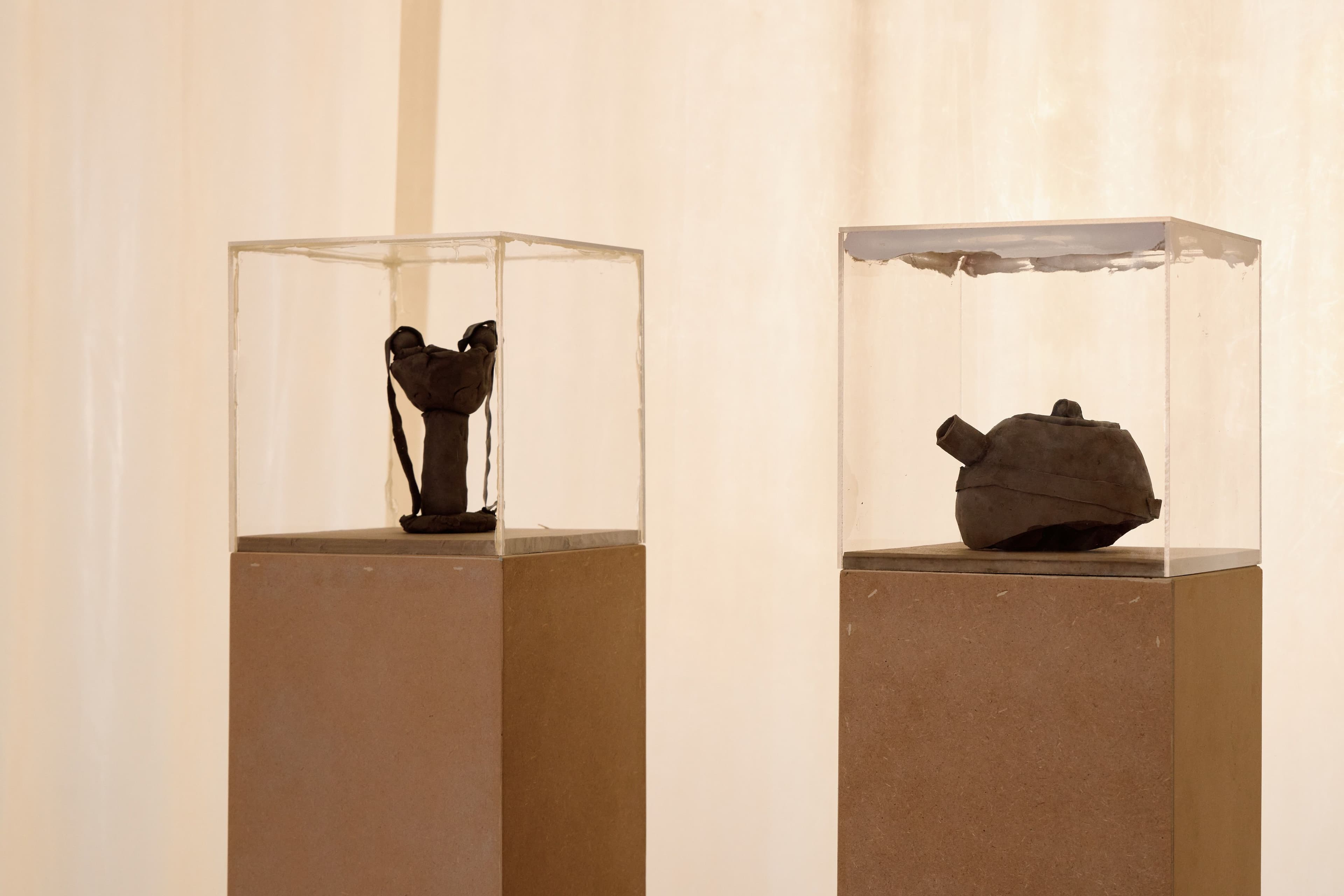 Beatrice Bonino — If I Did, I Did, I Die — image 2 of 6