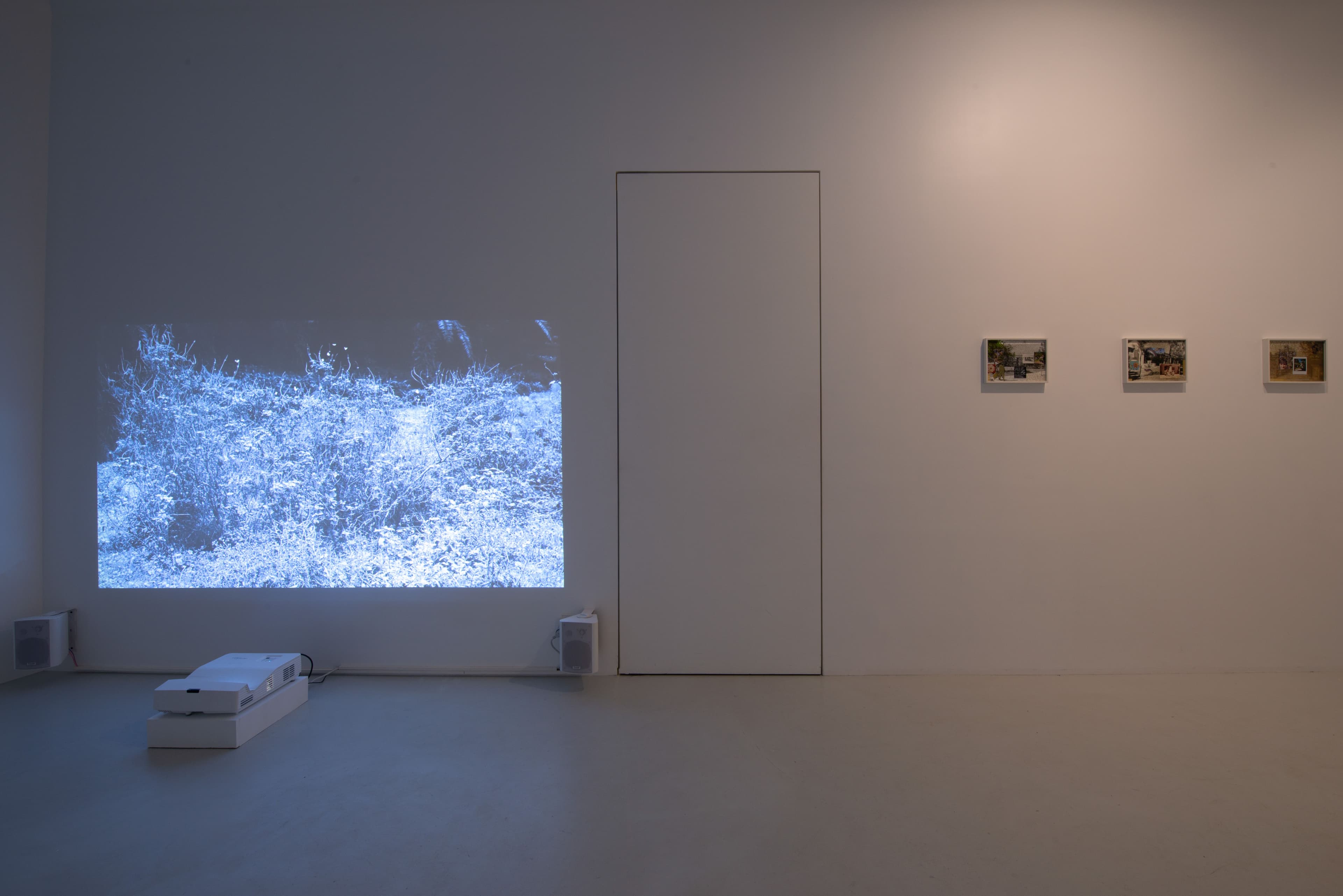 Daniel Blaufuks — Avant-Gardens (Part II): Jardim Cinema — image 2 of 6