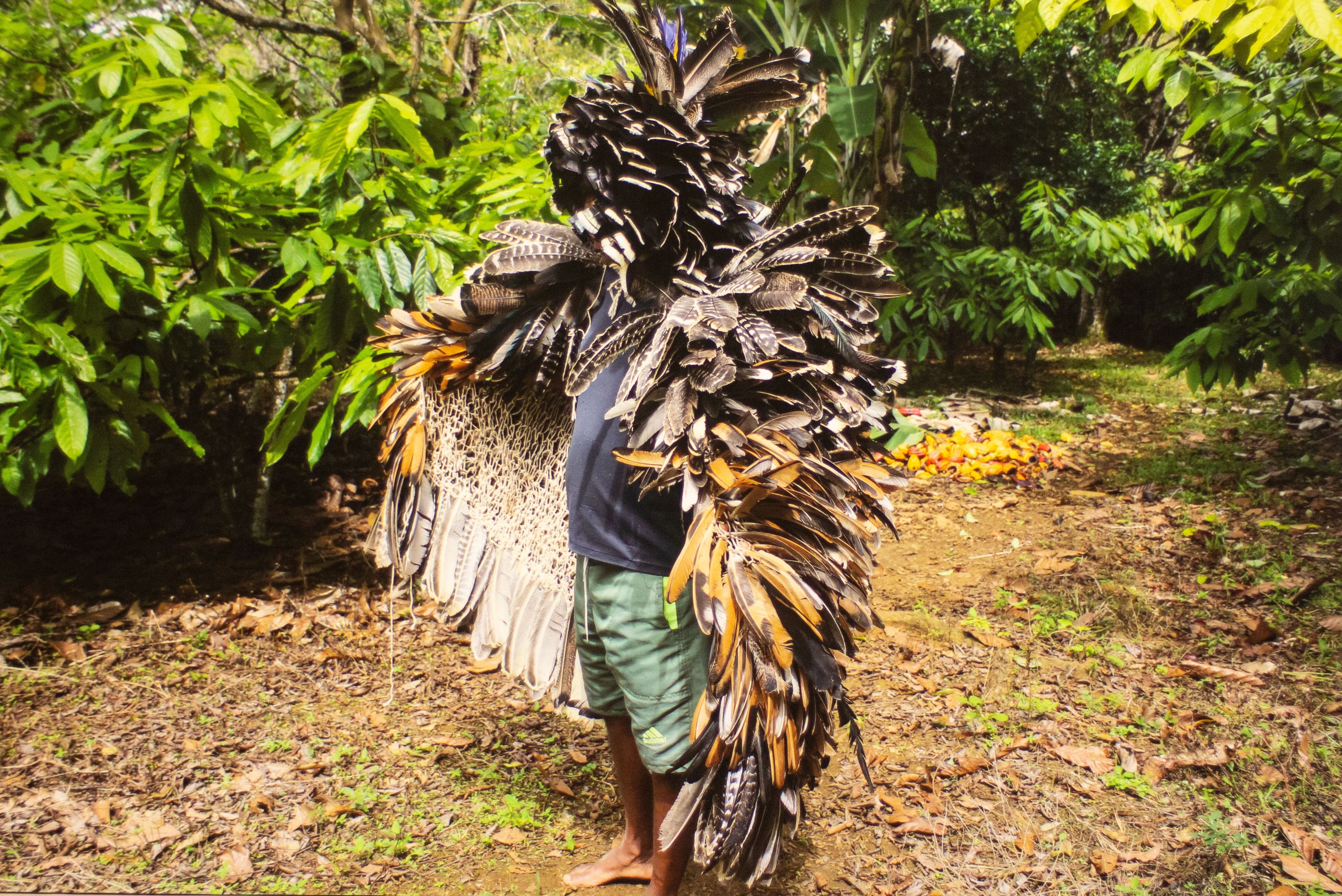 Group Exhibition — Ka’a Pûera: We Are Walking Birds