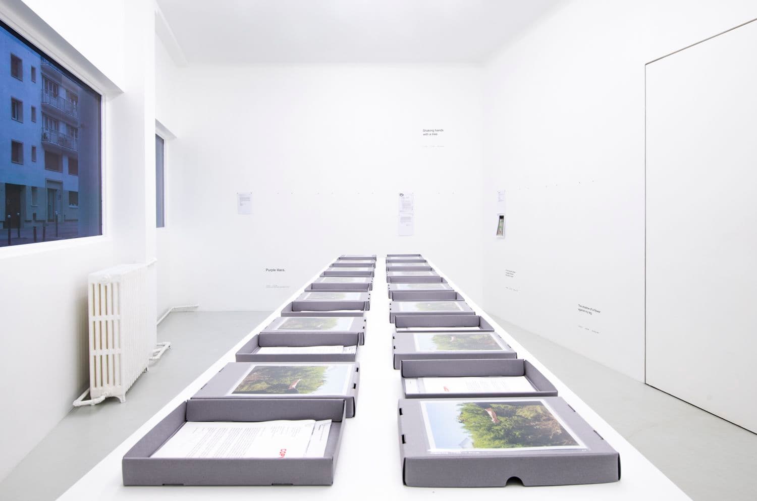 David Horvitz — Avenues All Lined With Trees — image 1 of 8