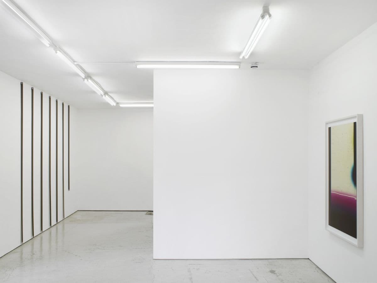 Elizabeth McAlpine — Light Reading — image 3 of 8