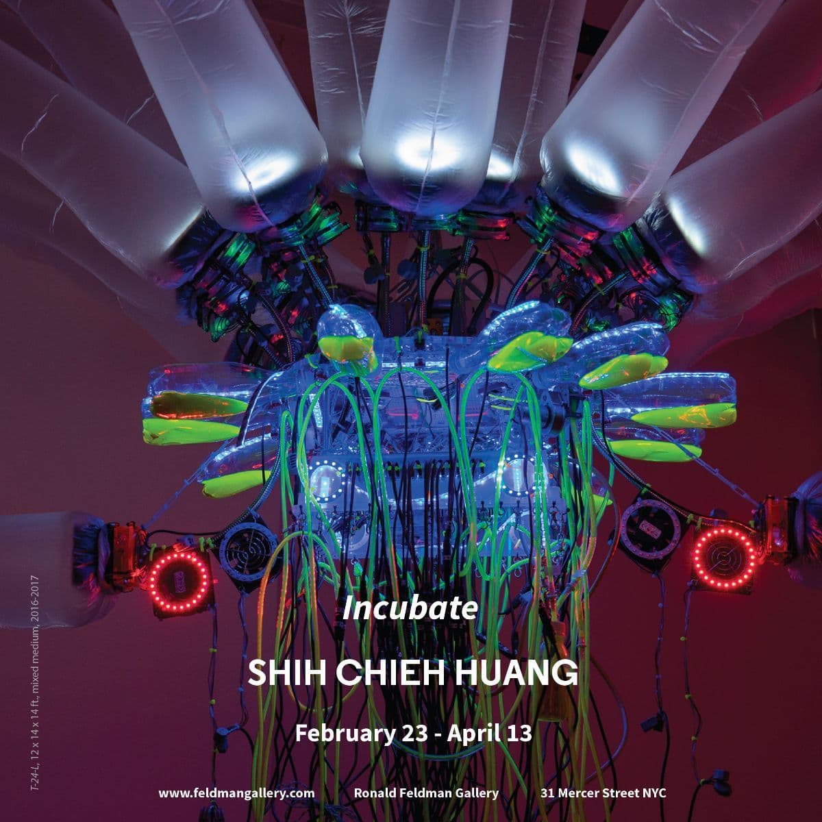 Shih Chieh Huang — Incubate