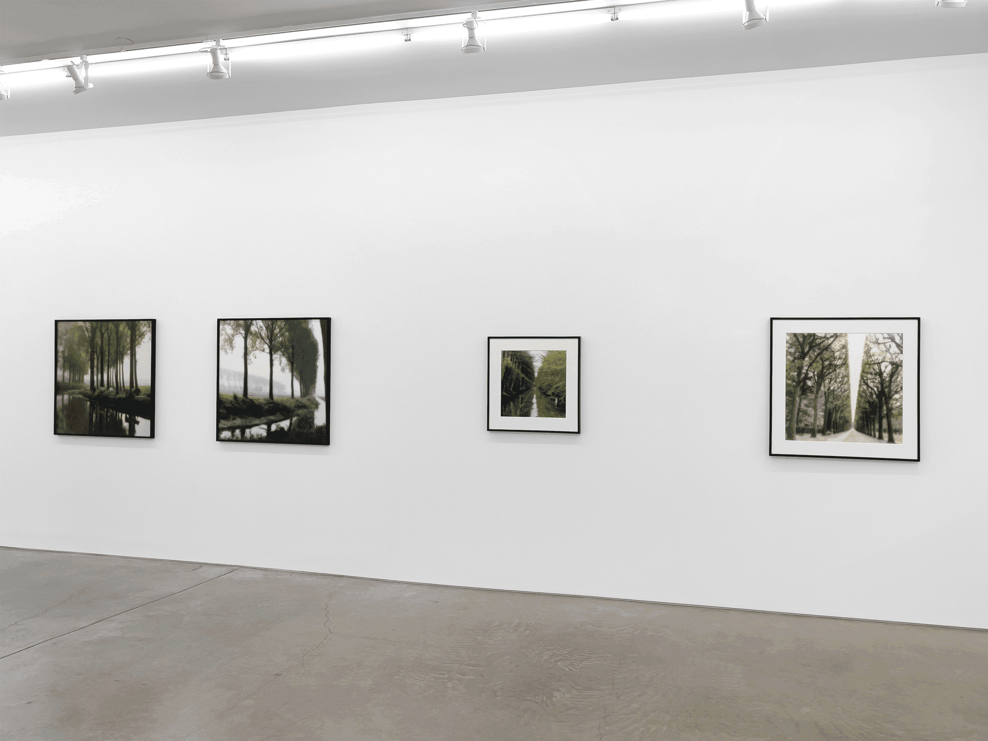 Lynn Geesaman - Image 4