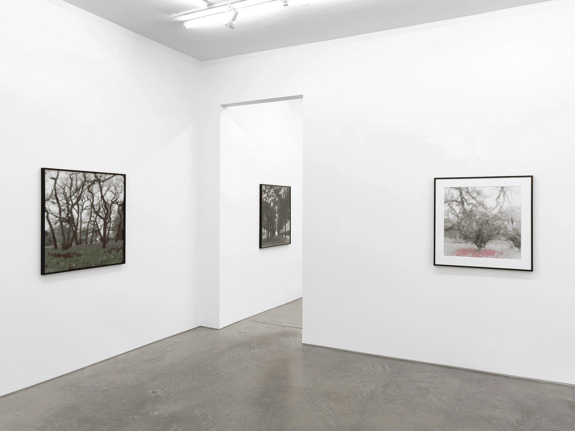 Lynn Geesaman - Image 3