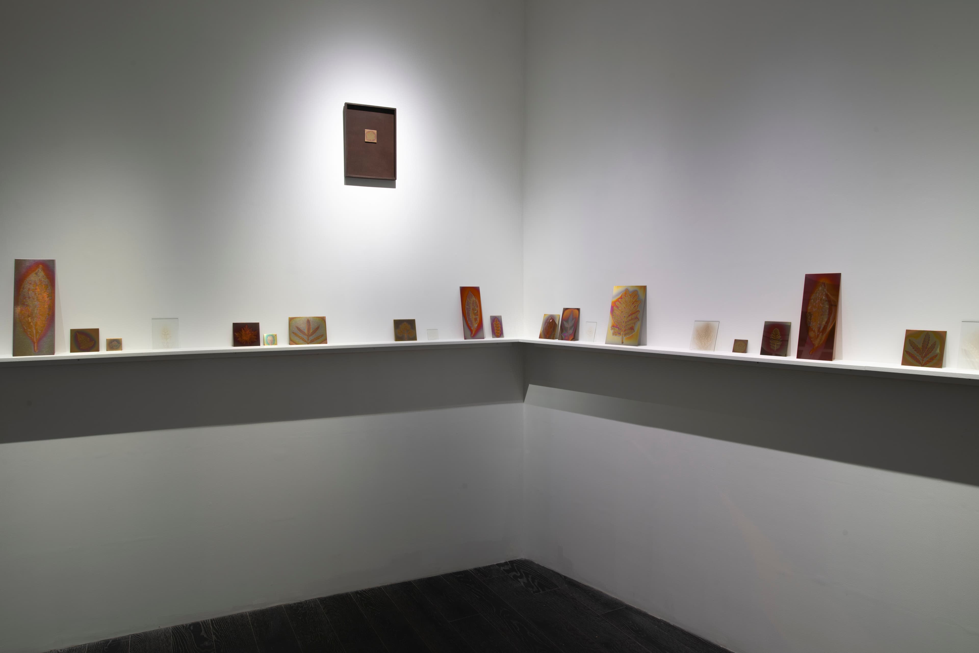Hanako Murakami — Avant-Gardens (Part III): Sufficiently Near — image 2 of 7