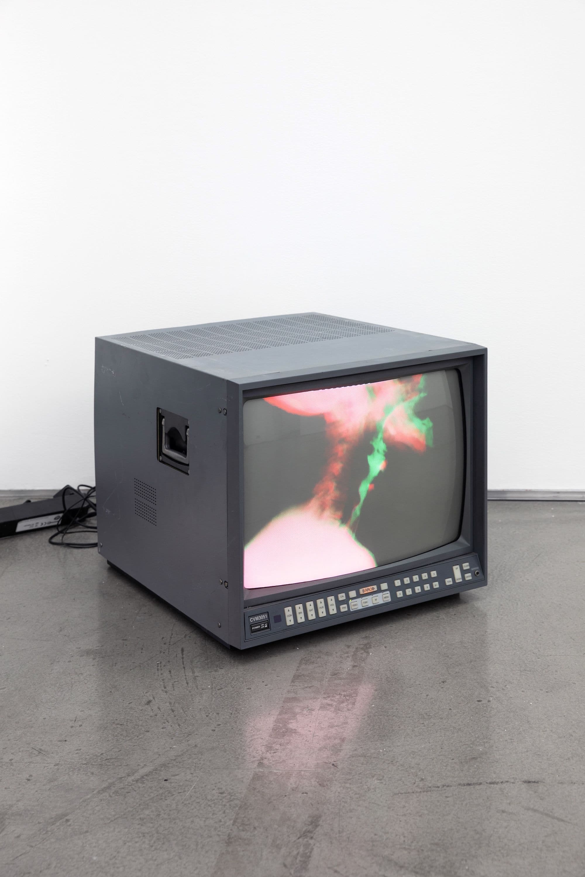 Margaux Meyer & Barbara Hammer — Strip to the Bones — image 3 of 7