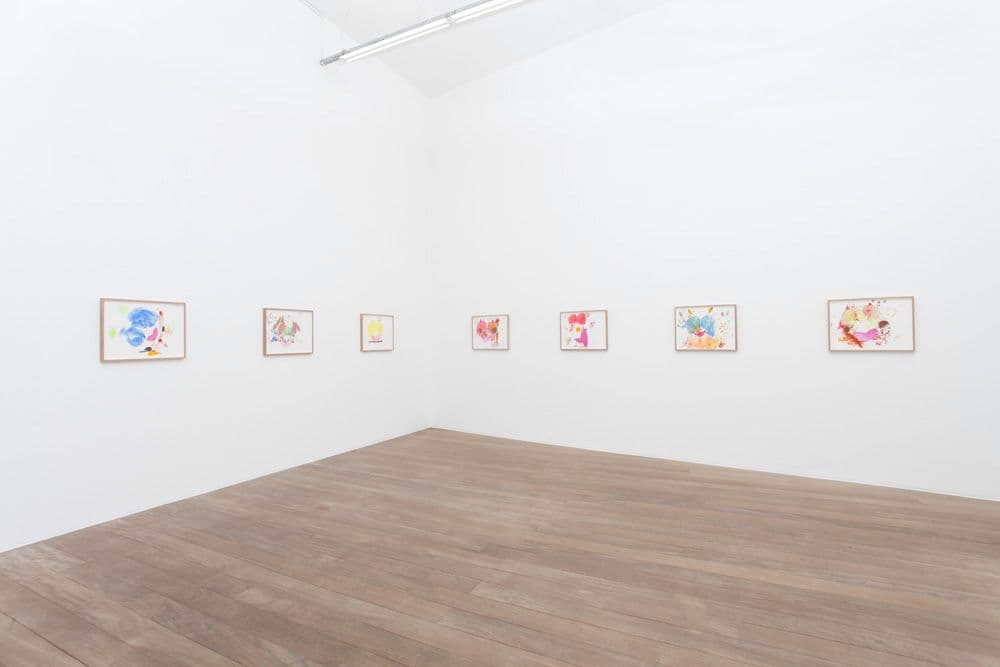 Mika Rottenberg — Mika Rottenberg — image 6 of 8
