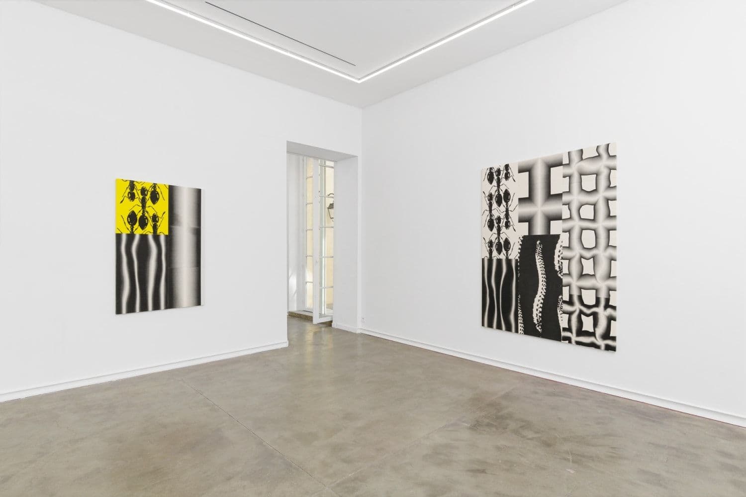 Peter Kogler — Peter Kogler — image 7 of 7