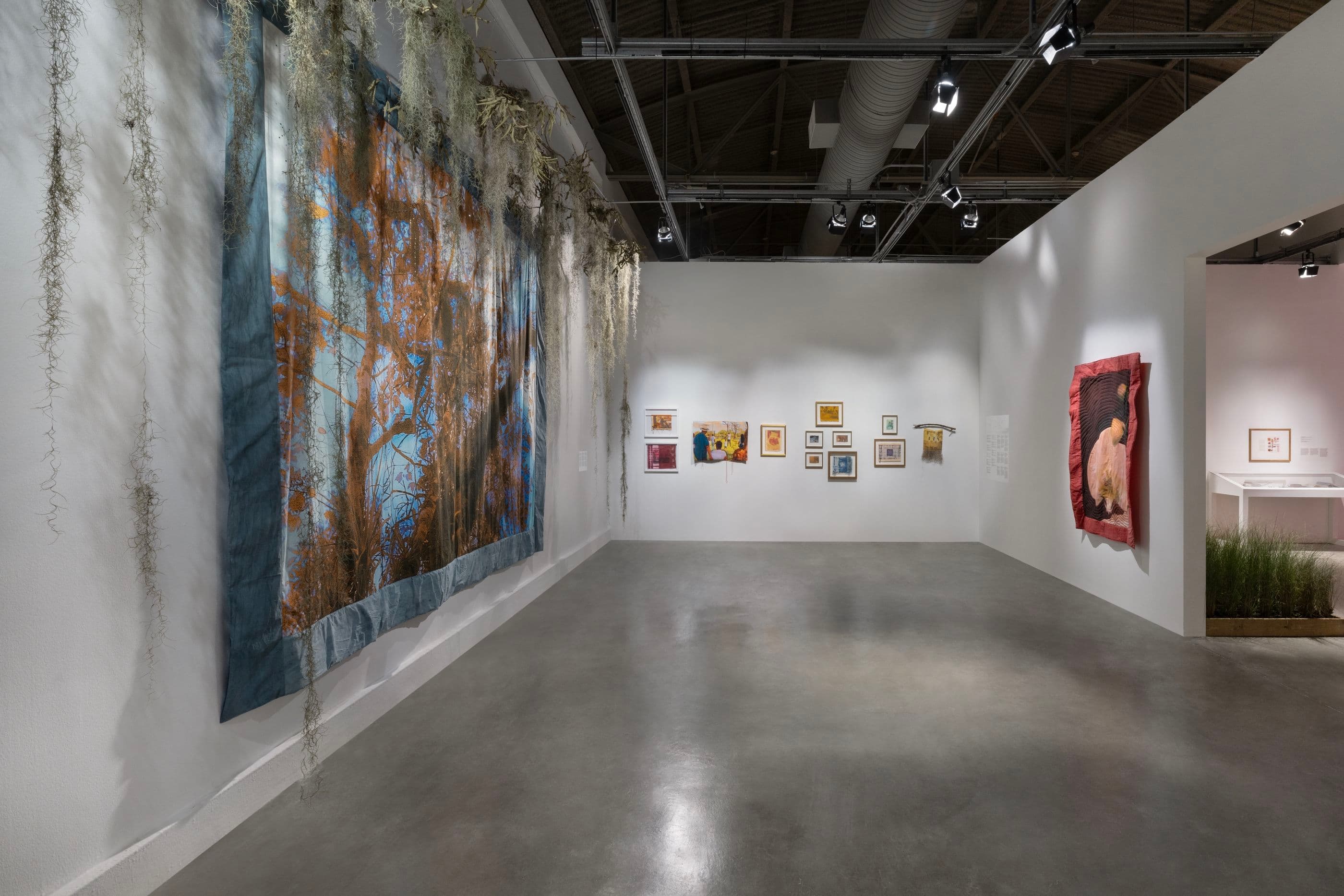 Diana Eusebio — Field of Dreams — image 6 of 8