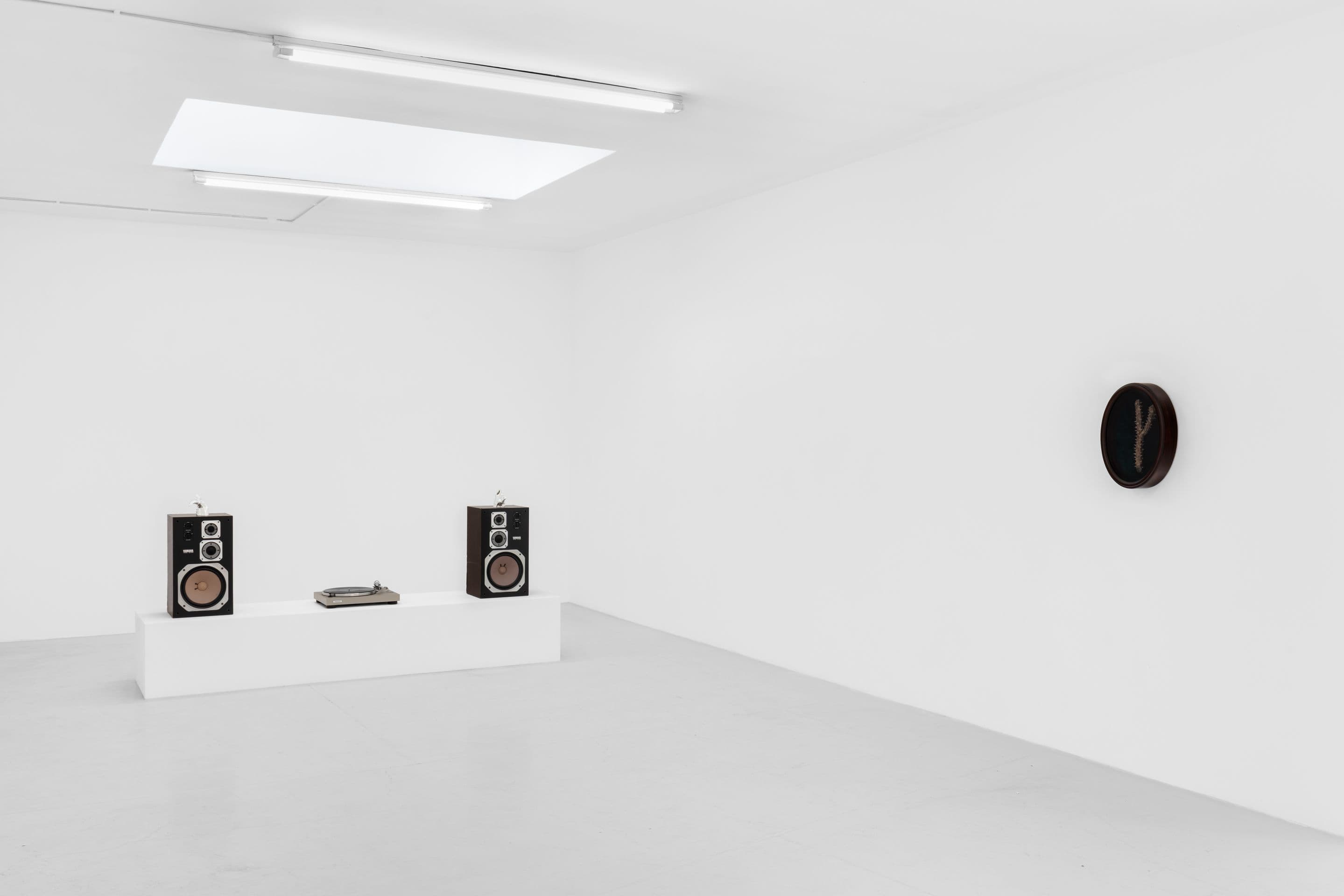 Zaza' — Condo London 2026 — image 10 of 12
