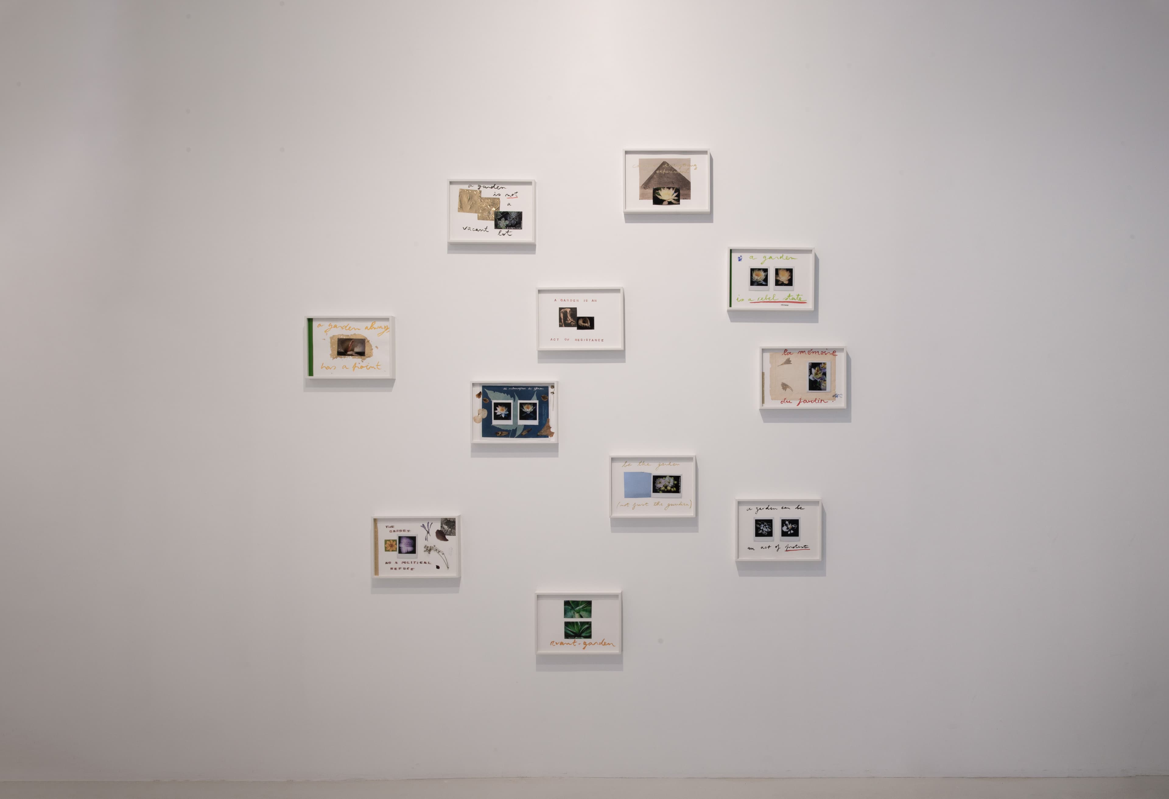 Daniel Blaufuks — Avant-Gardens (Part II): Jardim Cinema — image 5 of 6