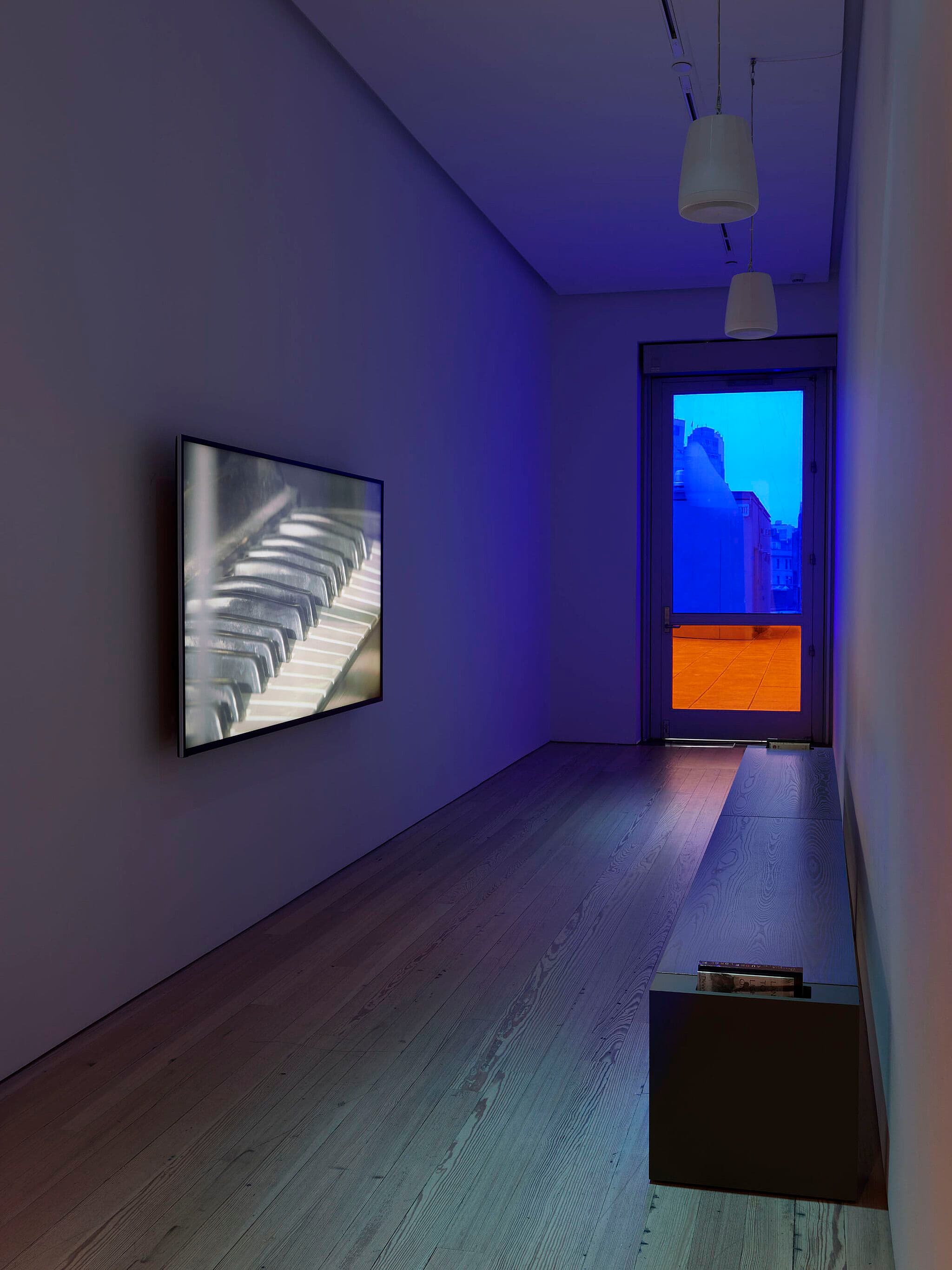 Cauleen Smith — Mutualities — image 2 of 6