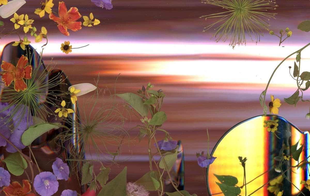 Group Exhibition — A Landscape Longed For: The Garden as Disturbance