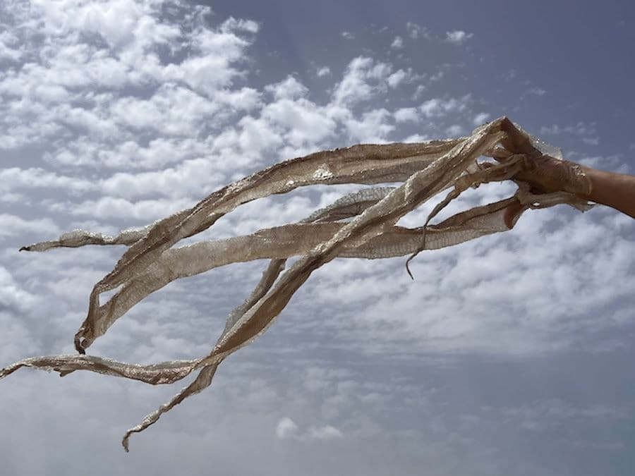 Edith Dekyndt — Animal Methods