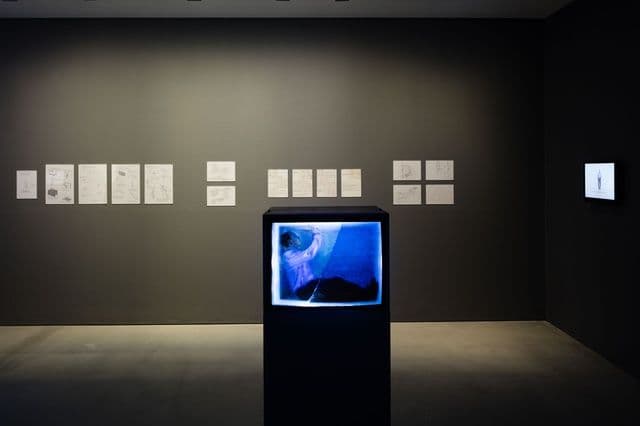 John Wood & Paul Harrison — Some Things Were Recorded 1993-1998 — image 4 of 5
