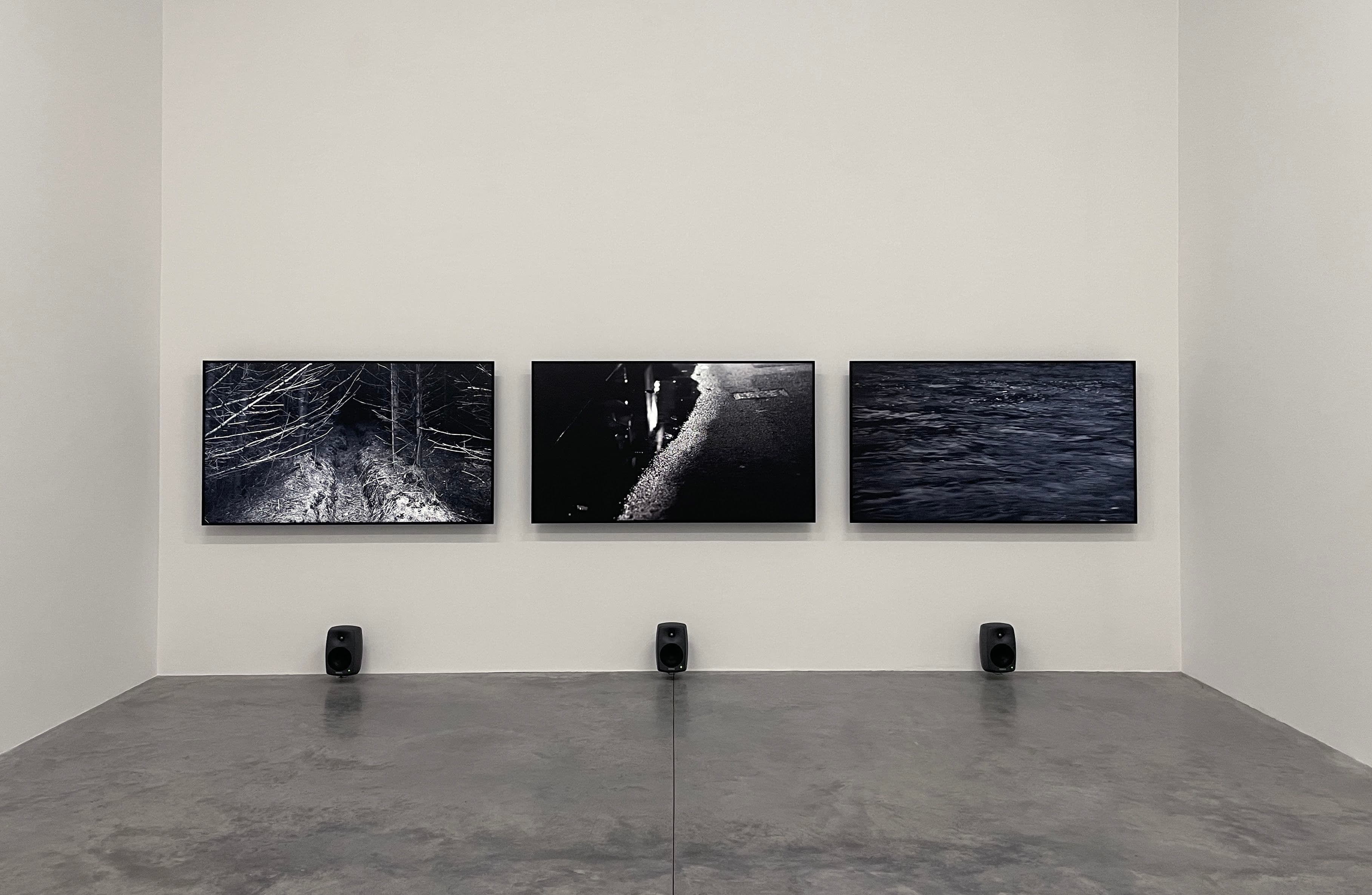 Willie Doherty — Remnant
