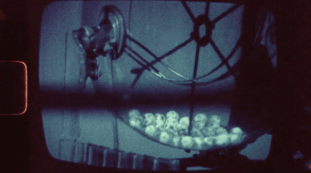 Horst Ademeit — Film Program