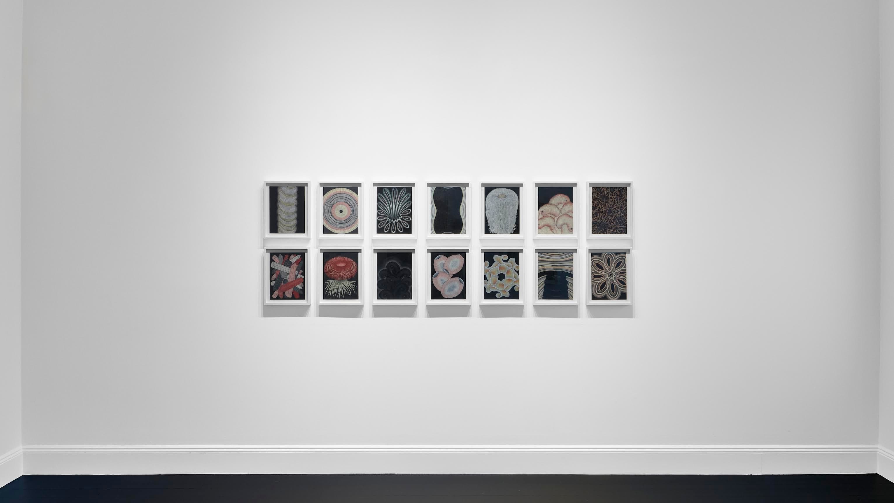 The Black Drawings