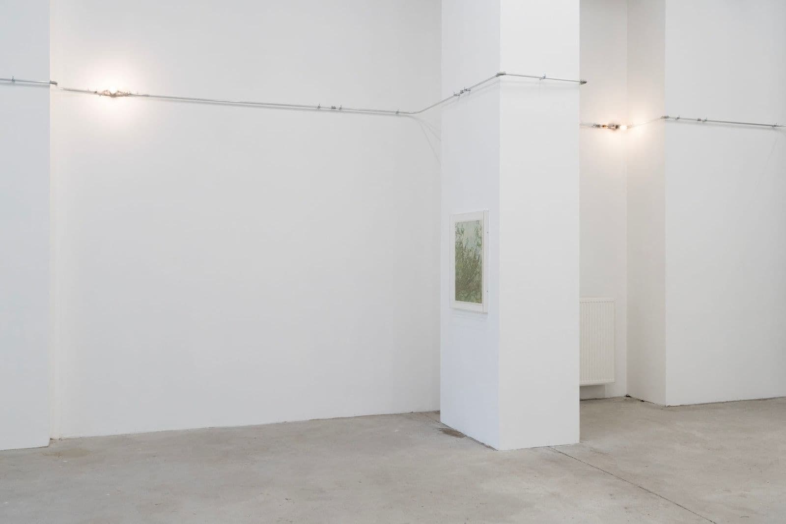 Christopher Aque — Regrowth — image 2 of 3