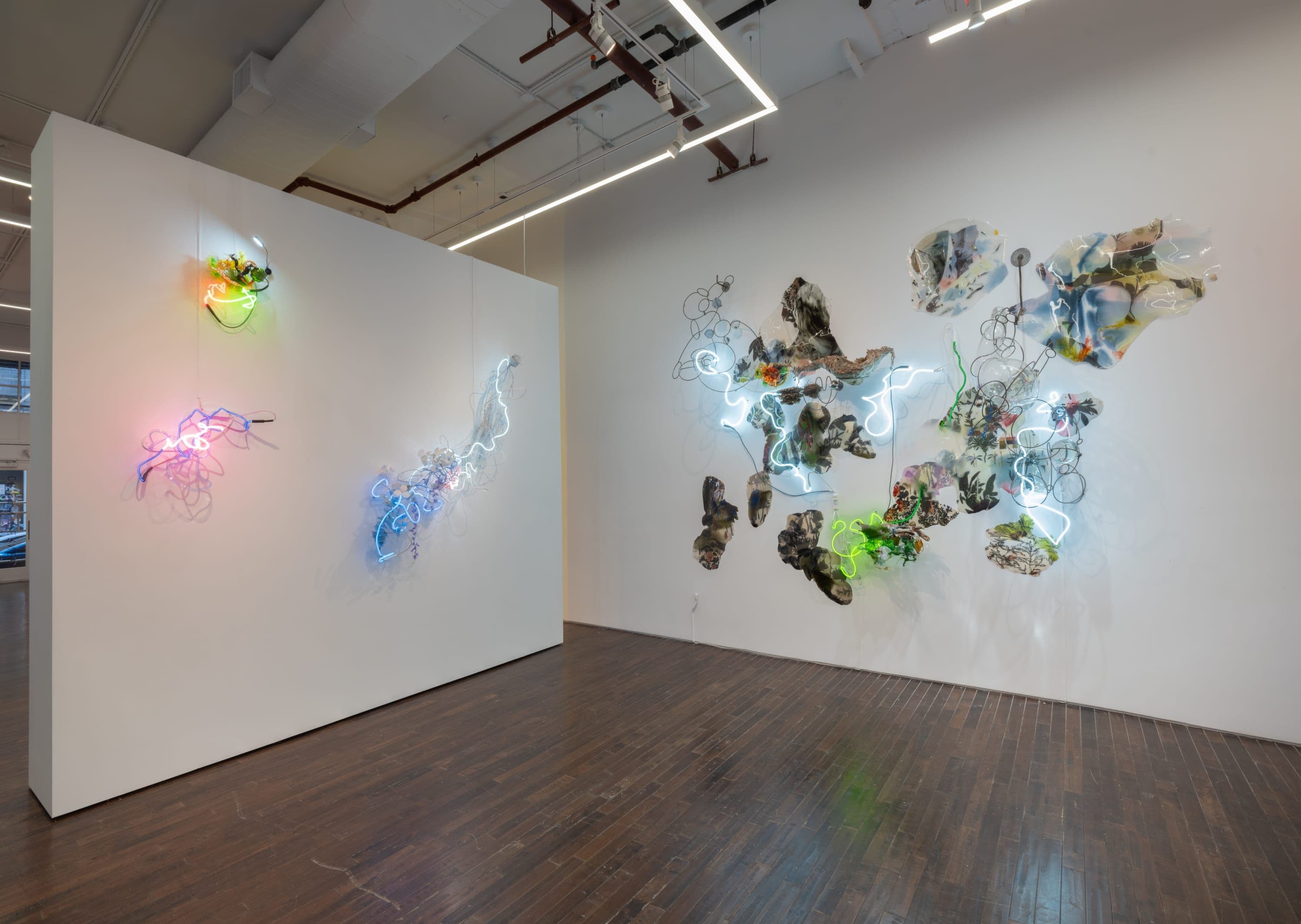 Judy Pfaff — Light Years — image 5 of 7