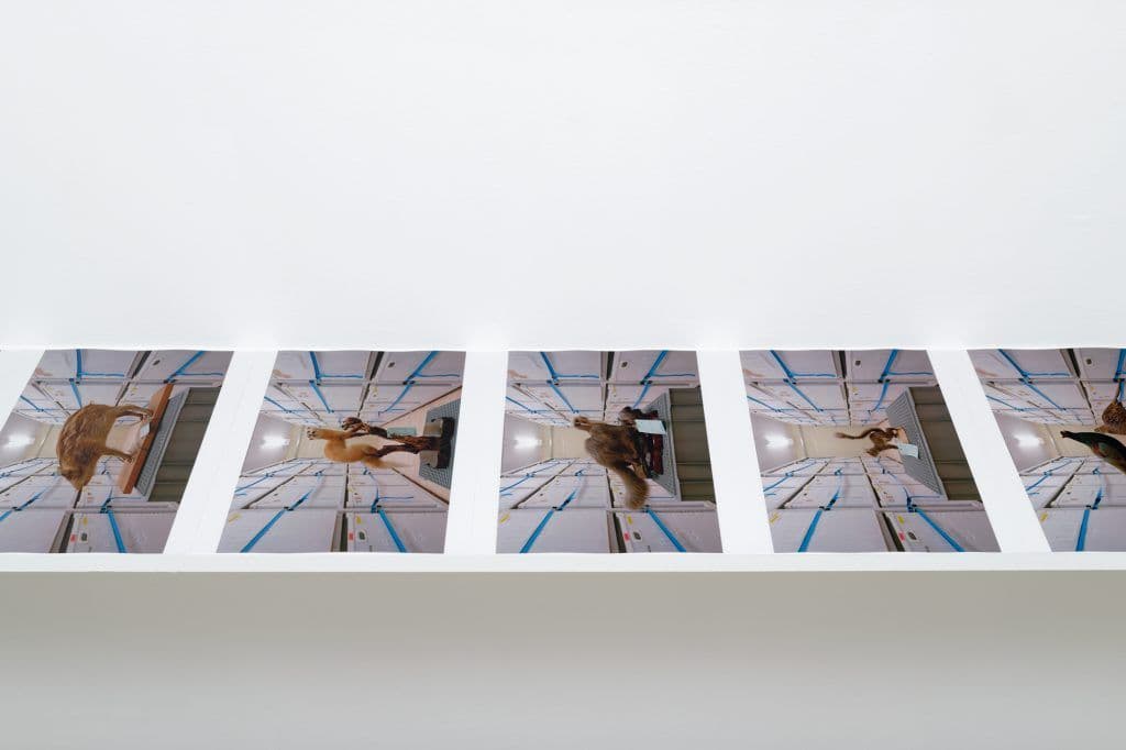 Hikaru Fujii — Les nucléaires et les choses — image 5 of 5