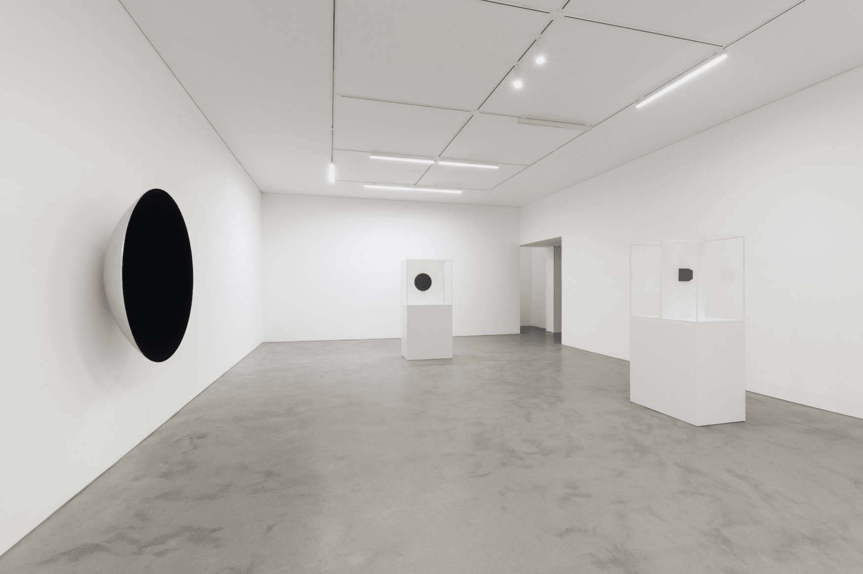 Anish Kapoor — Anish Kapoor — image 12 of 12