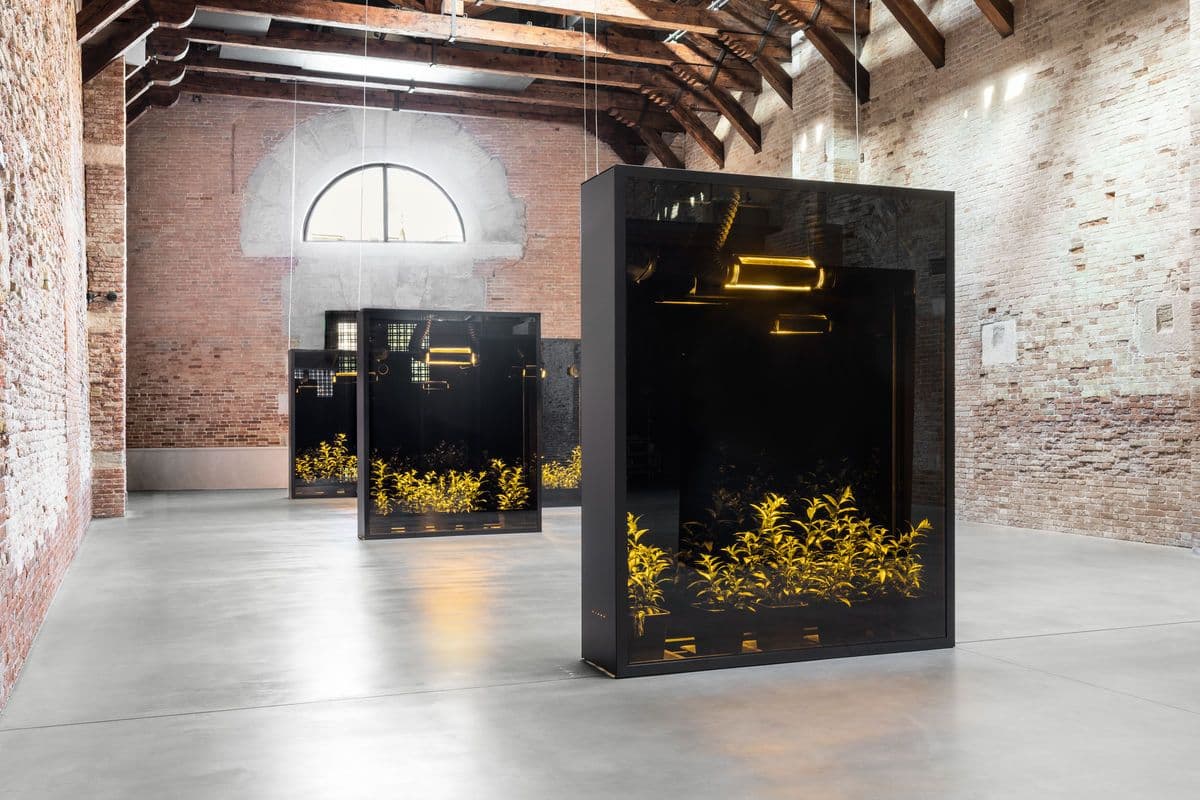 Group Exhibition — Luogo e Segni — image 1 of 5