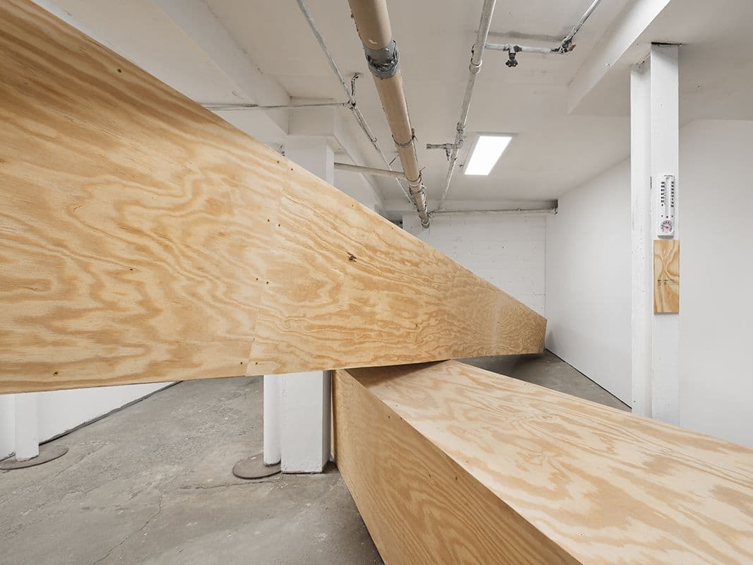 Emily Janowick — Wet Blanket — image 8 of 8