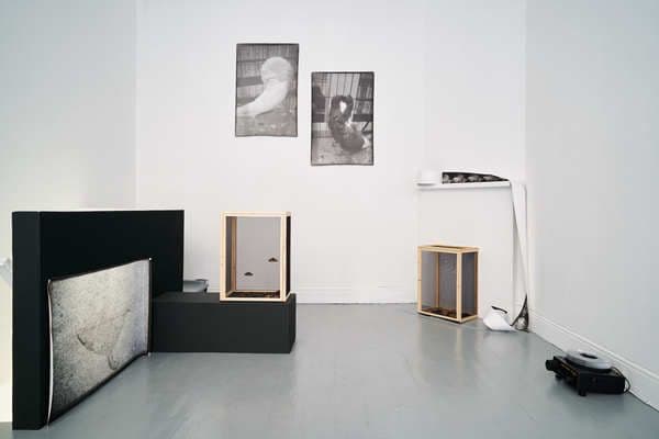 Petra Feriancová & Nicolás Lamas — Becoming Animal — image 1 of 2