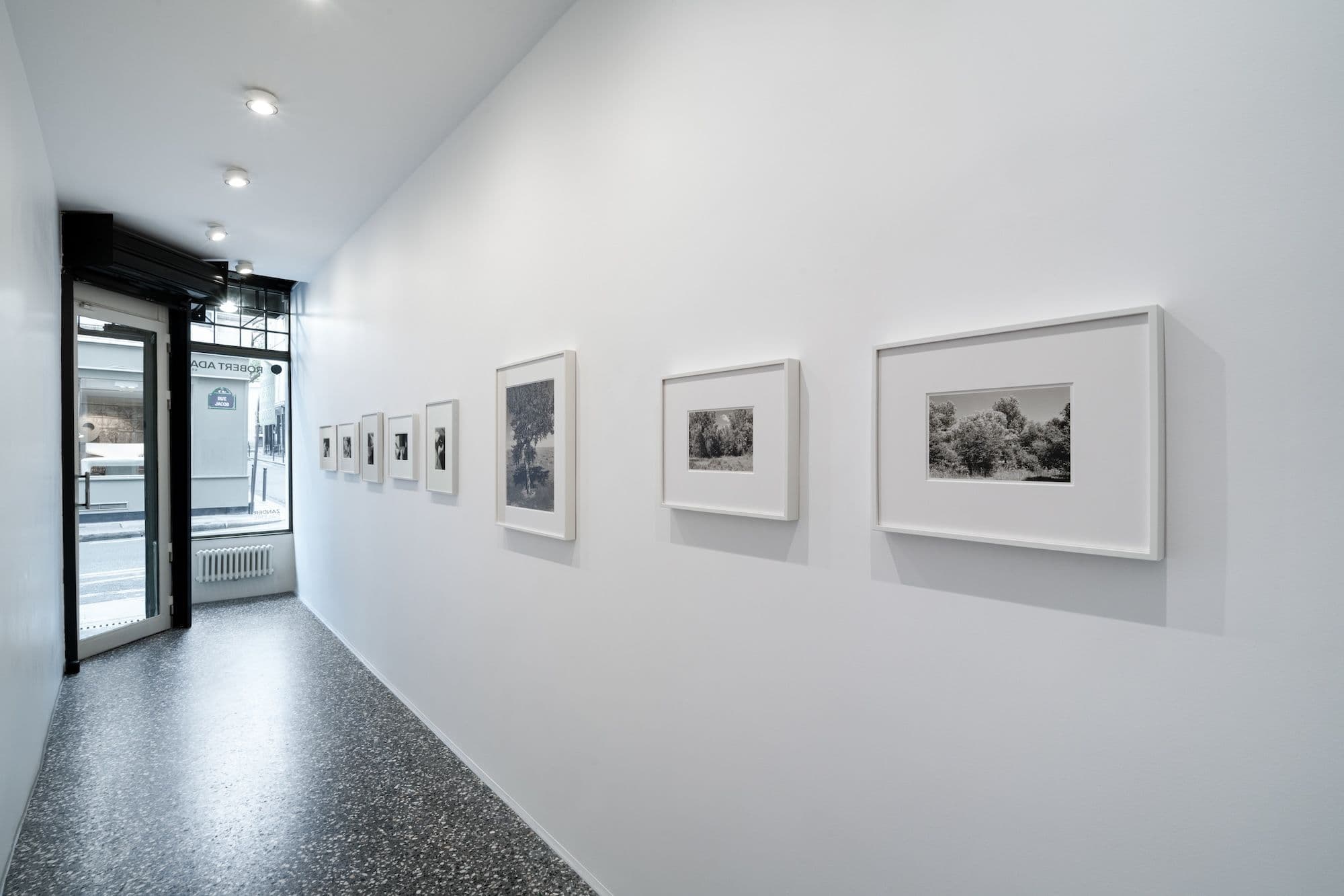 Robert Adams
