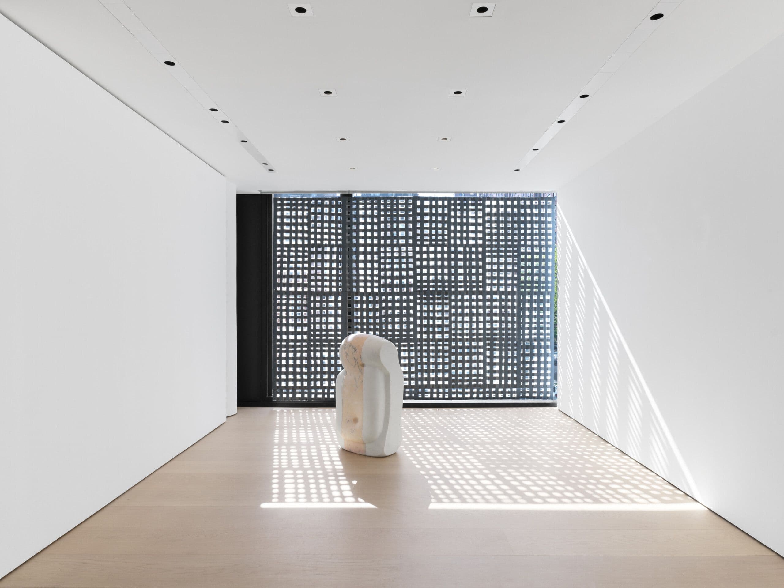 Sam Moyer — Woman with Holes — image 4 of 8