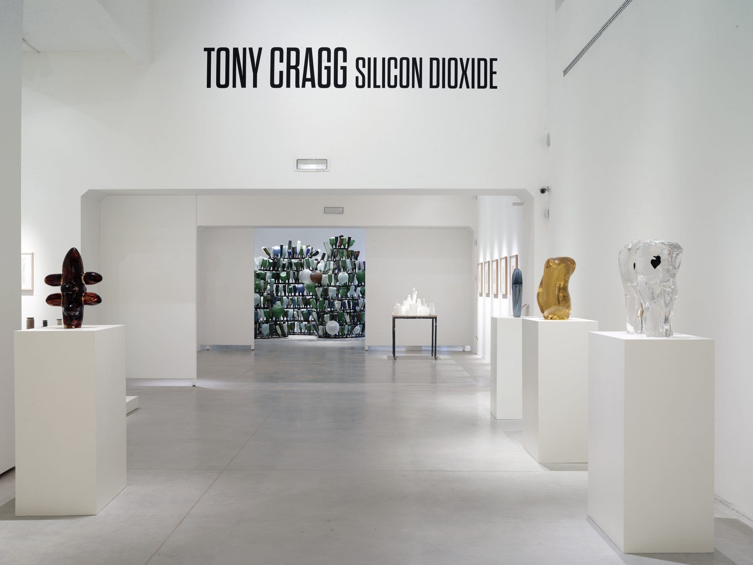 Tony Cragg — Silicon Dioxide — image 2 of 7