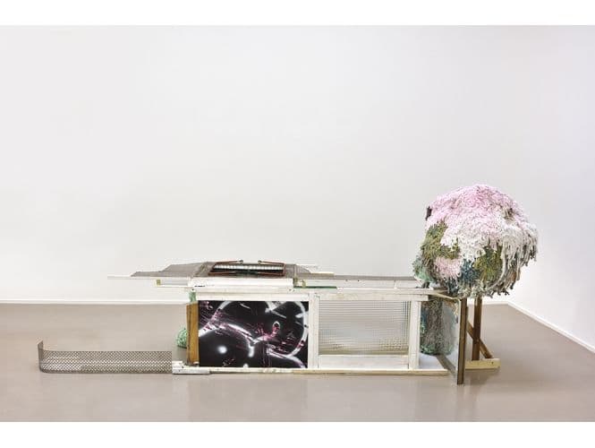 Thomas Buswell — Pangloss’s Lost Candy Floss — image 2 of 4